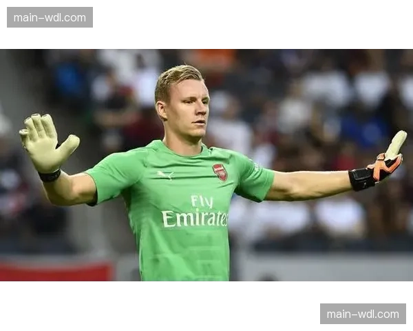 霍芬海姆1-1波鸿，比赛数据显示双方门将均为赛季最高扑救次数